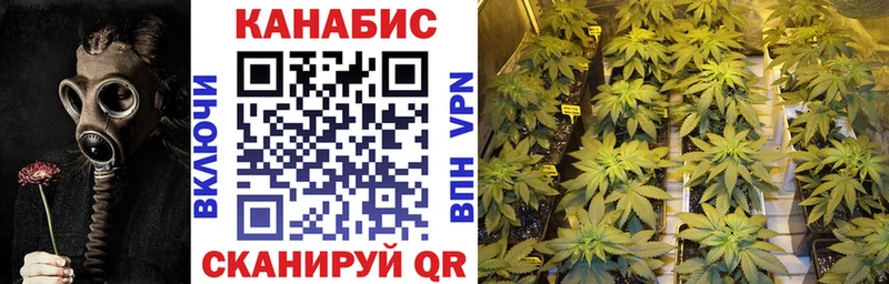 Купить Псилоцибиновые грибы  МАРИХУАНА  Экстази  Меф мяу мяу  ГАШ  КОКАИН  Салехард